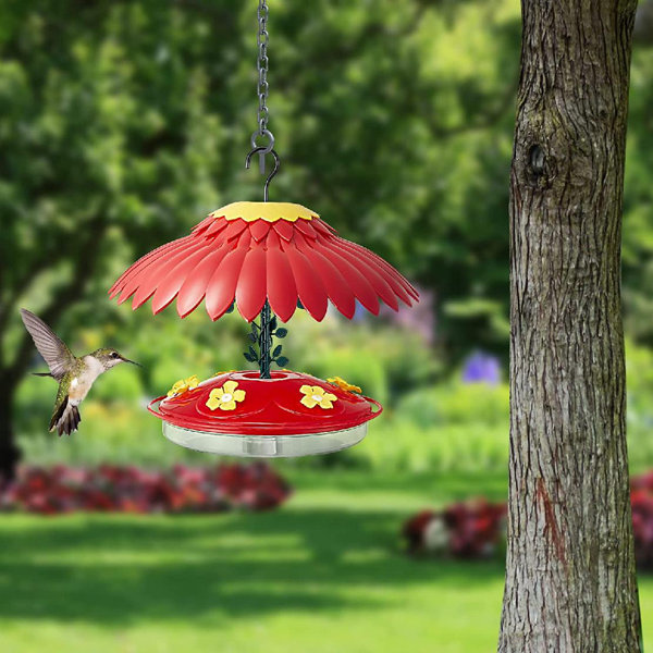 Arlmont & Co. Hummingbird Feeder, Baffle For Bird Feeder, 16Oz